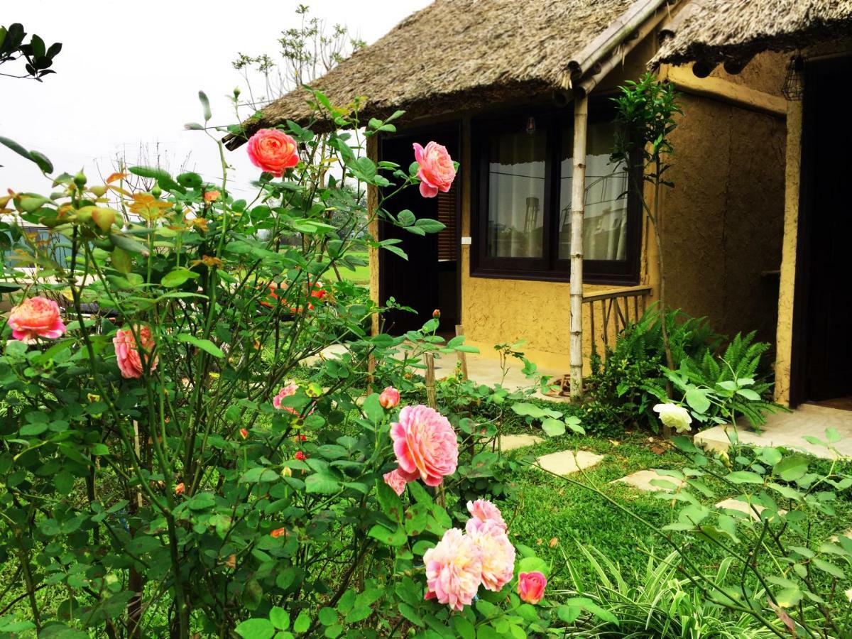 May Homestay - Tam Coc Local Village Ninh Binh Luaran gambar