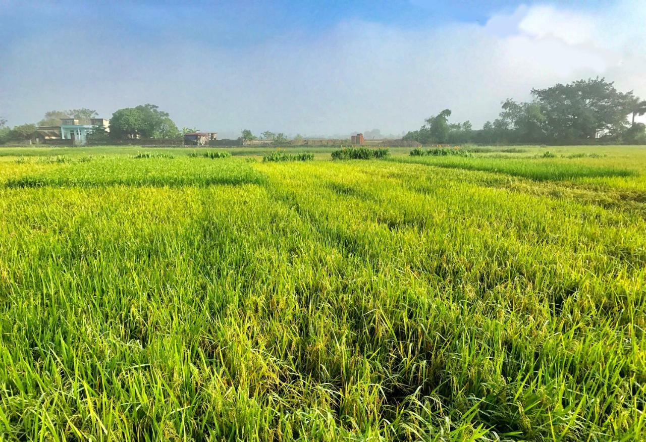 May Homestay - Tam Coc Local Village Ninh Binh Luaran gambar